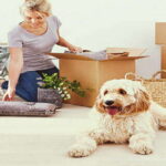 Moving All Creatures Great and Small
