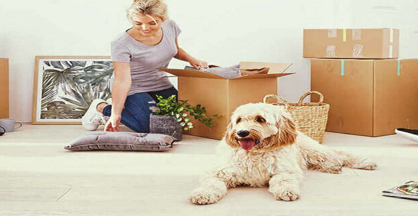 Moving All Creatures Great and Small