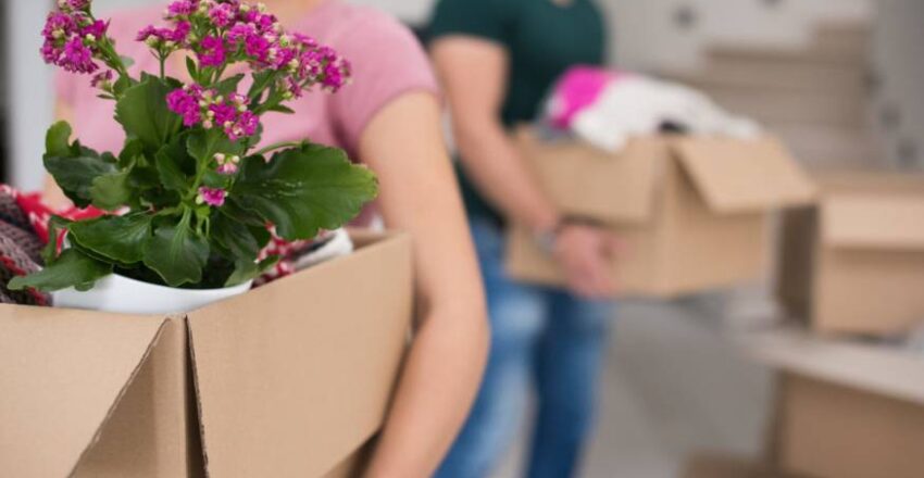 How to Make House Moving More Eco-Friendly in Melbourne
