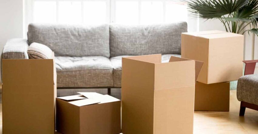 Are Removalists Insured for Damages?