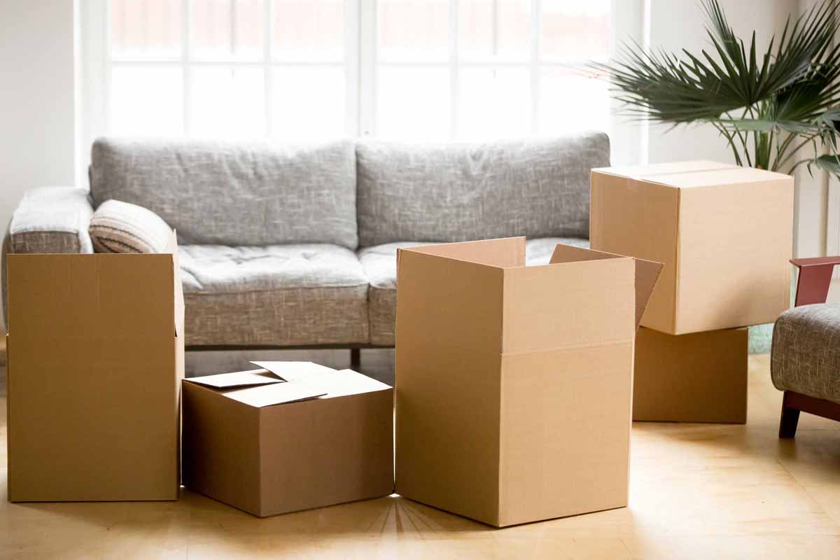 Are Removalists Insured for Damages?